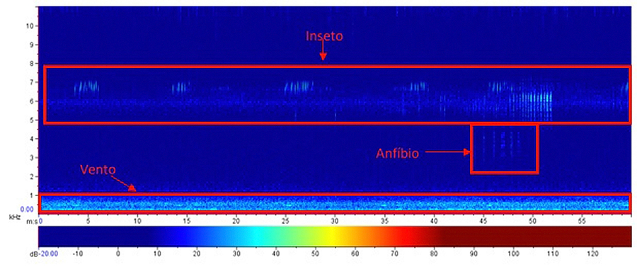 Espectrograma da Restinga do Piano, às 16:35h do dia 16/07/2018 com predominância da biofonia entre 2 e 7,50 kHz. Abaixo encontra-se a escala de cores da Potência (dB)