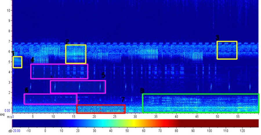 Espectrograma da Restinga do Piano, às 19:50h do dia 16/07/2018, com a escala de cores abaixo. 1, 2 e 3: insetos; 4, 5 e 6: anfíbios; 7: geofonia (vento); 8: antropofonia (motocicleta)