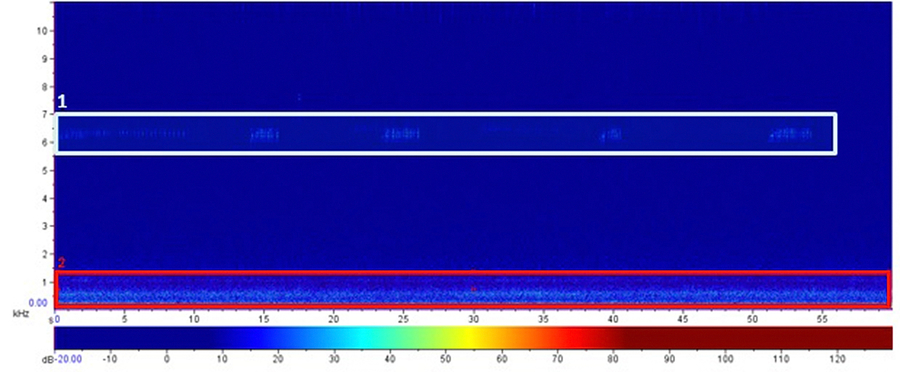 Espectrograma da Restinga do Foguete, às 13:45h do dia 21/09/2018. A faixa superior (1) (entre 5,5 e 8 kHz) apresenta insetos e a faixa inferior (2) (0 a 1,5 kHz) apresenta a geofonia (vento)