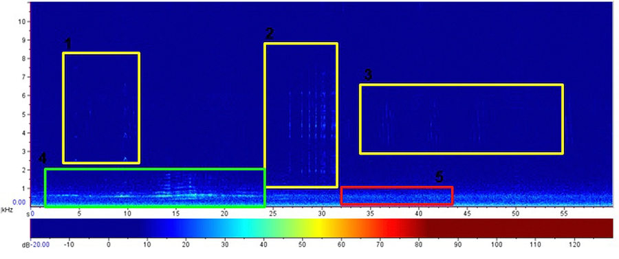 Espectrograma da Restinga do Foguete, às 17:25h do dia 22/09/2018, contendo biofonia nos itens 1, 2 e 3, antropofonia (moto) no item 4 e geofonia (vento) no item 5