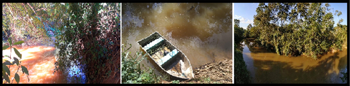 Fotografias do Rio Carangola registradas pelos alunos do nono ano de escolaridade da Instituição B