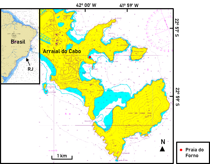 Localização da Praia do Forno em Arraial do Cabo/RJ e a área analisada durante o presente estudo