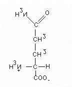 Estrutura química da glutamina