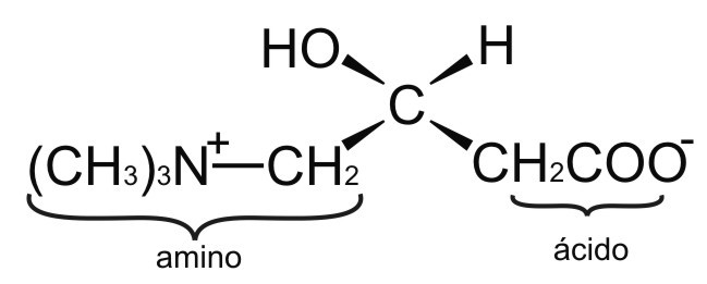 Estrutura química da carnitina