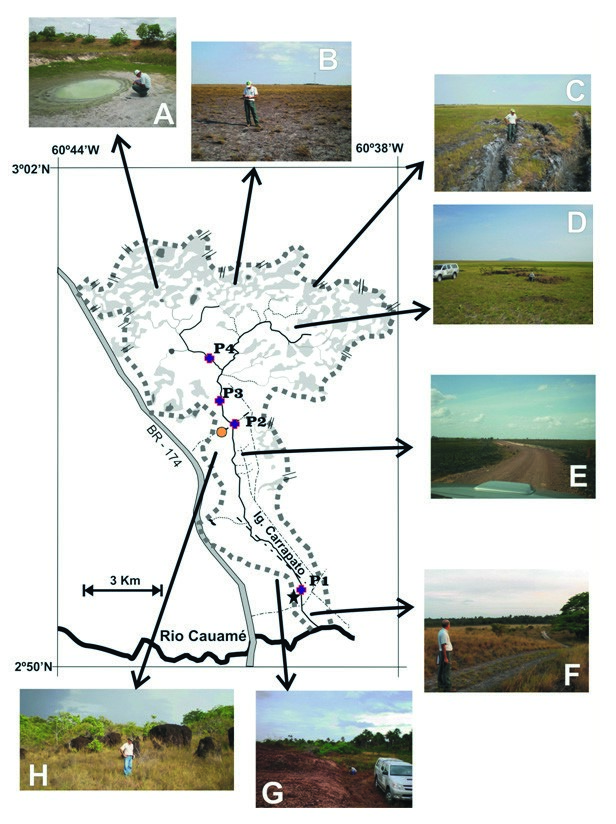 Caracterização de diferentes pontos da bacia hidrográfica do Igarapé Carrapato