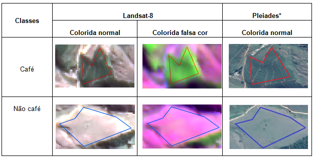 Padrões de reconhecimento característicos das áreas de treinamento das classes “café” e “não café” nas imagens Landsat-8 (composição colorida normal e composição colorida falsa cor) e Pleiades* (composição colorida normal)