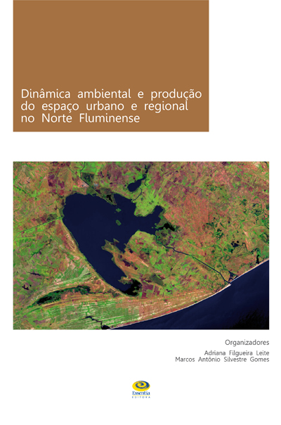 Dinâmica ambiental e produção do espaço urbano e regional no Norte Fluminense